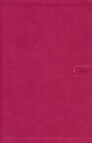 NLT Teen Life Application Study Bible, Compact