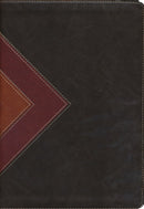 NLT Illustrated Study Bible, Brown, Indexed