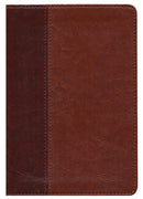 NLT Every Man’s Bible NLT, Brown & Tan, Large Print