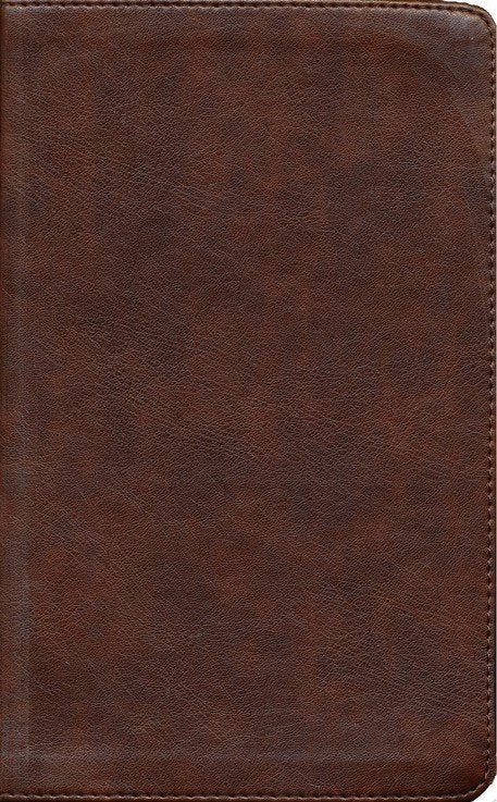 ESV Concise Study Bible