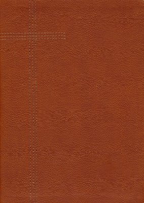 NLT Every Mans Bible Large Print