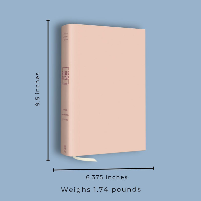 ESV Bible Recap Chronological Study Bible, Pink