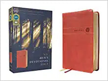 NIV, Men's Devotional Bible