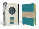NIV Giant-Print Compact Bible, Teal