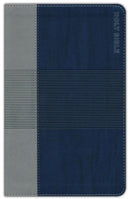 NIV Teen Study Bible, Blue and Gray