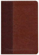 NLT Every Man’s Bible NLT, Large Print, Brown, Indexed
