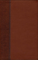 NIV Quest Study Bible for Teens, Brown