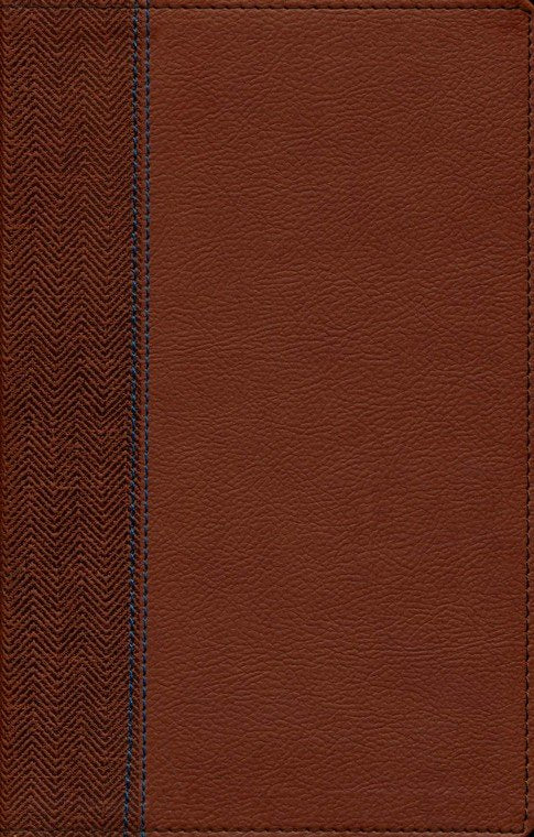 NIV Quest Study Bible for Teens, Brown