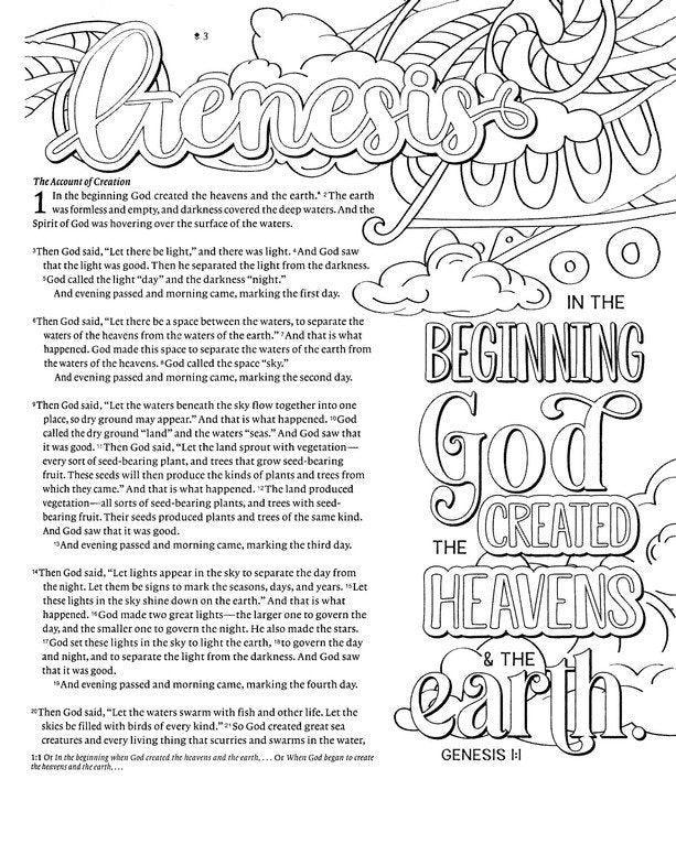 NLT Inspire: Faith Bible, Coral