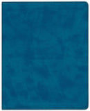 CSB Notetaking Bible, Blue