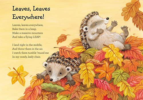 Snuggle Time Fall Blessings (a Snuggle Time padded board book)