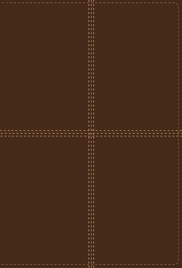NIV/RVR60, Bilingual Bible, Leathersoft, Brown
