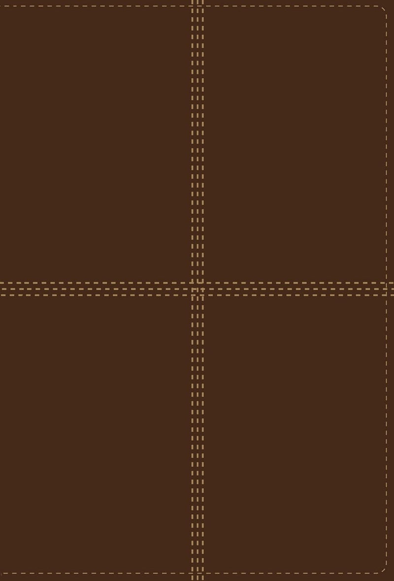 NIV/RVR60, Bilingual Bible, Leathersoft, Brown