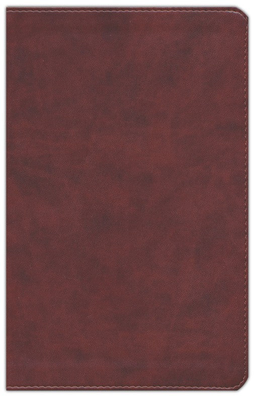 ESV Large Print Personal Size Bible, Chestnut