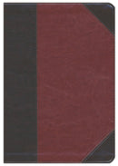 ESV Large Print Wide Margin Bible, Brown