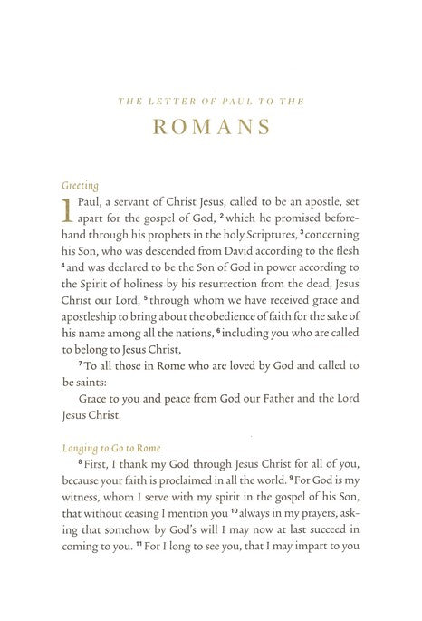 Romans, ESV Illuminated Scripture Journal