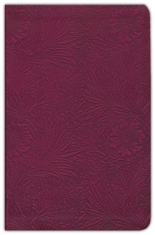 ESV Value Thinline Bible, Raspberry