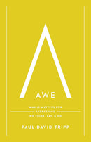 Awe: Why It Matters for Everything We Think, Say, and Do