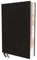 NIV Large Print Quest Study Bible, Black