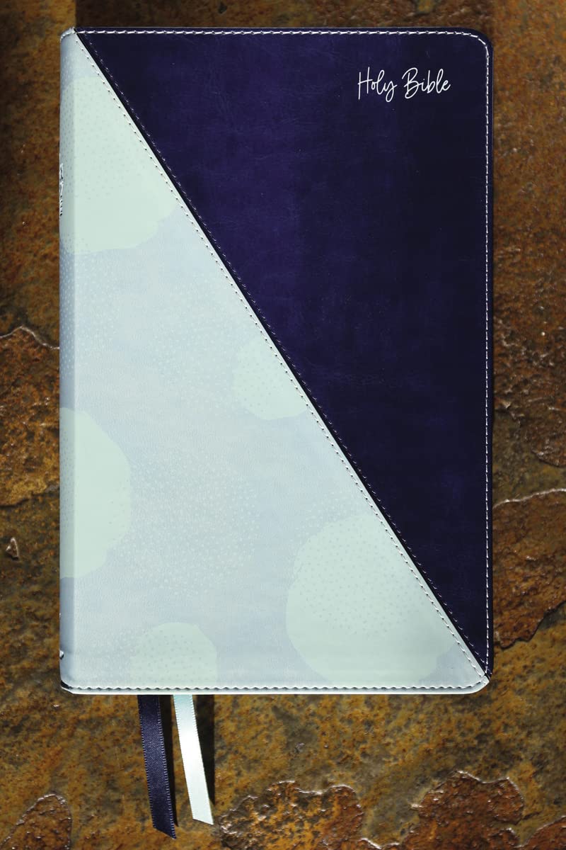 NIV Teen Study Bible, Teal and Blue