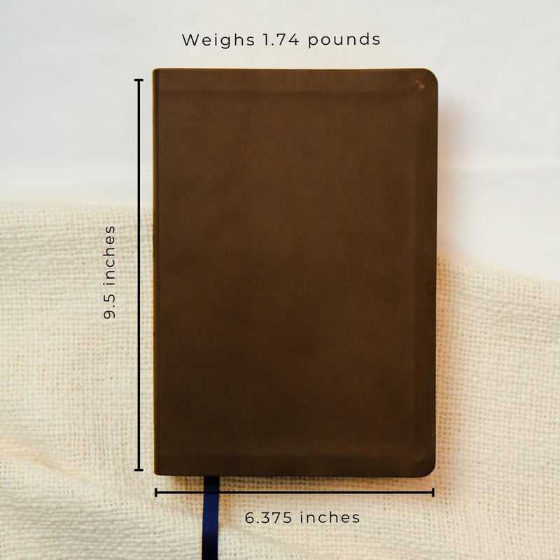 ESV Bible Recap Chronological Study Bible, Brown