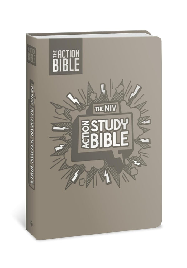 The NIV Action Study Bible - Leathersoft, Gray