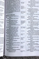 NIV Comfort Print Compact Reference Bible, Stone