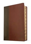 NLT Life Application Study Bible