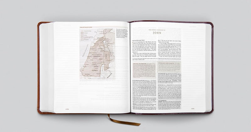 ESV Journaling Study Bible, Brown/Chestnut