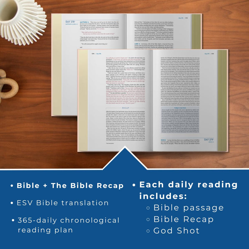 ESV Bible Recap Chronological Study Bible, Pink