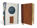 NIV Giant Print Compact Bible, Brown