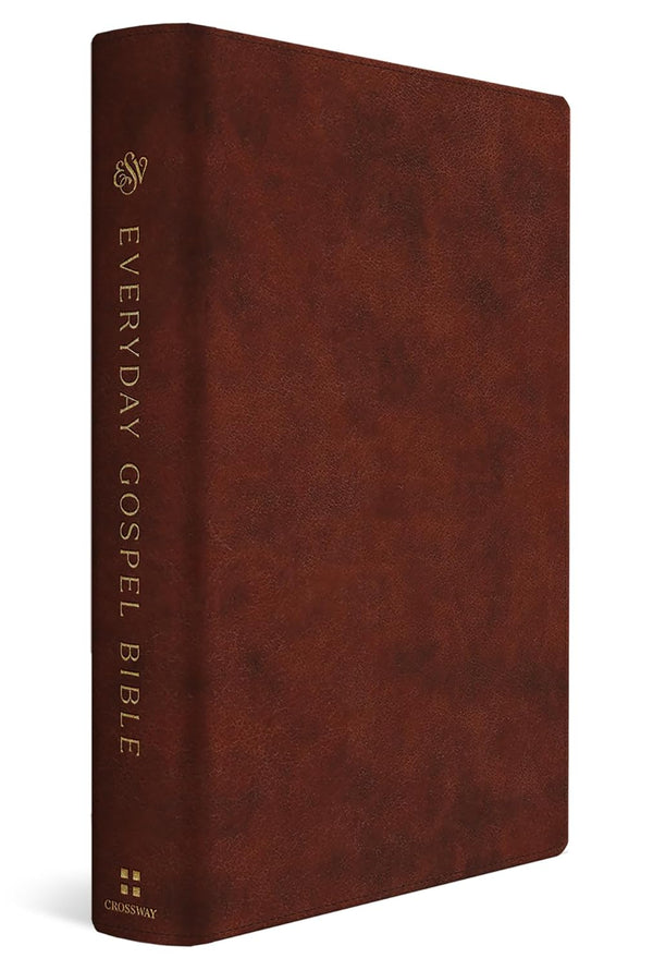 ESV Everyday Gospel Bible