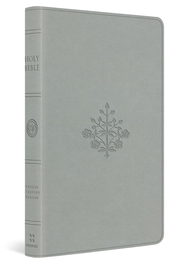 ESV Large Print Value Thinline Bible, River Stone