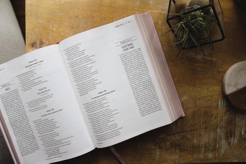 The Jesus Bible, Pink