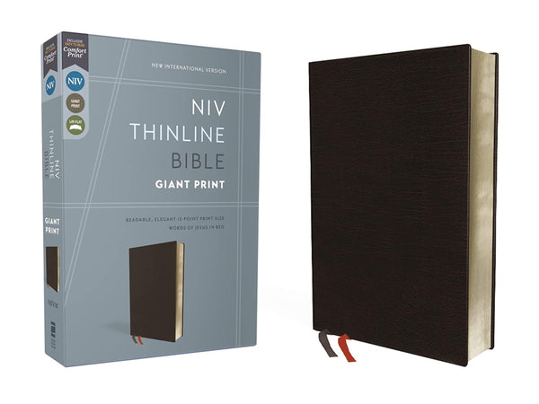 NIV Thinline Giant Print Bible, Black