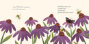 Consider the Lilies