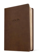 NLT One Year Bible for Men, Brown