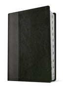 NLT Life Application Study Bible