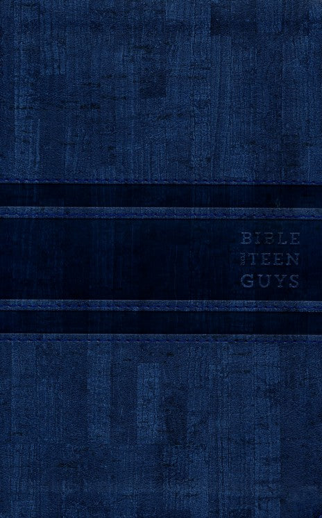 NIV Bible For Teen Guys