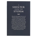 Shelter from the Storm