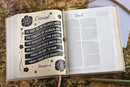 NIV Radiant Virtues Bible