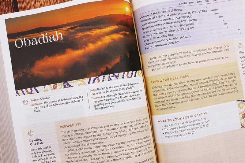 NIV Large Print Application Bible, Pink/Gray Leathersoft, Indexed