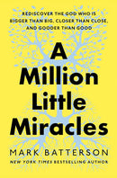 A Million Little Miracles, Paperback