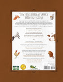 Frog's Rainy-Day Story and Other Fables