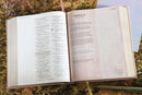 NIV Radiant Virtues Bible