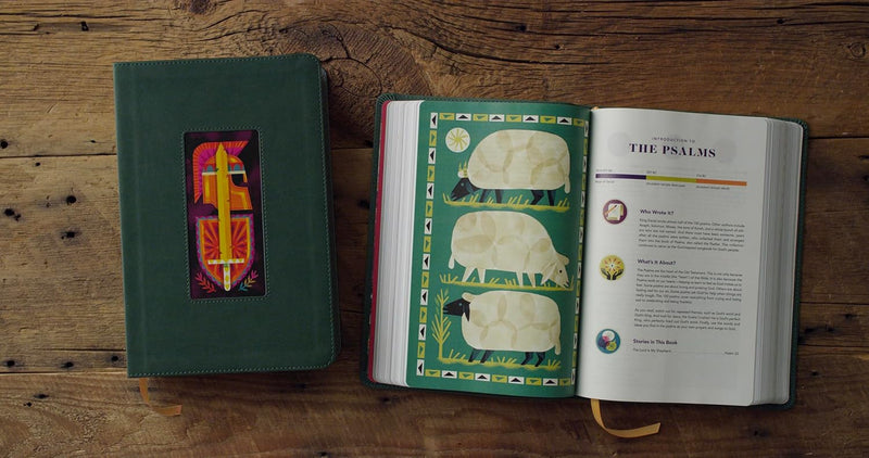 ESV The Biggest Story Holy Bible for Kids TruTone®, Dark Green, Armor Design