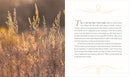 Jesus Calling: Harvest of Blessings