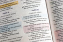 NIV Radiant Virtues Bible