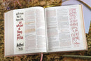 NIV Radiant Virtues Bible