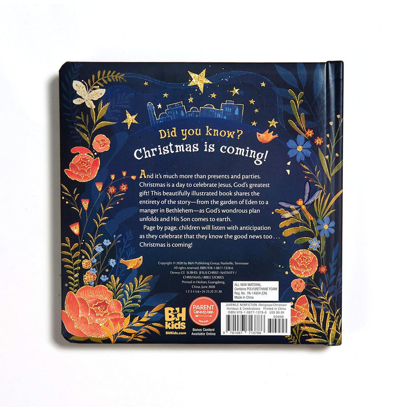 Christmas is Coming!